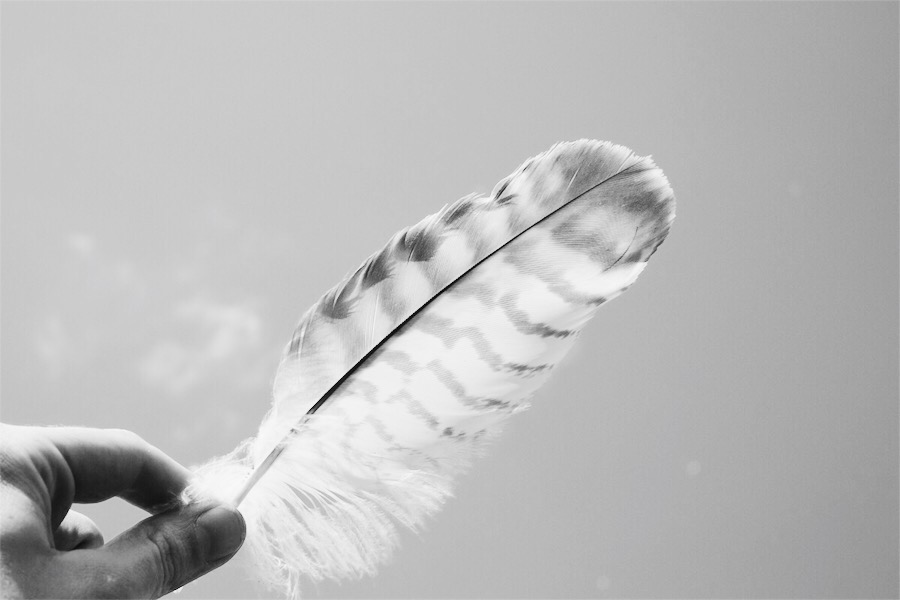 All the feathers that are used in production are of European origin and therefore comply with all the EU’s stringent animal welfare requirements.